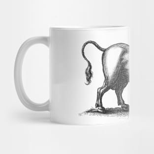 Bull Vintage Black and White Illustration Mug